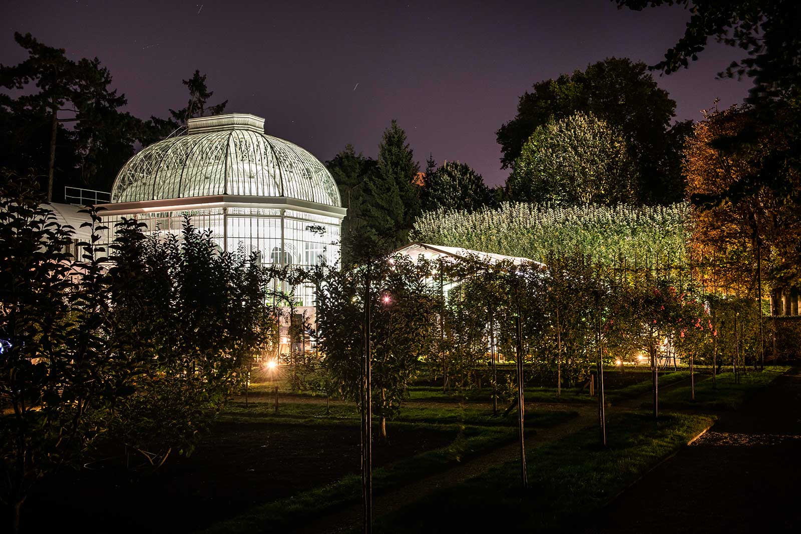 Musée-départemental-Albert-Kahn_le-jardin-japonais-contemporain-©-CD92-Olivier-Ravoire